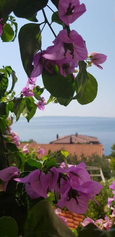 Summer Lounge Apartment Trogir Zewnętrze zdjęcie